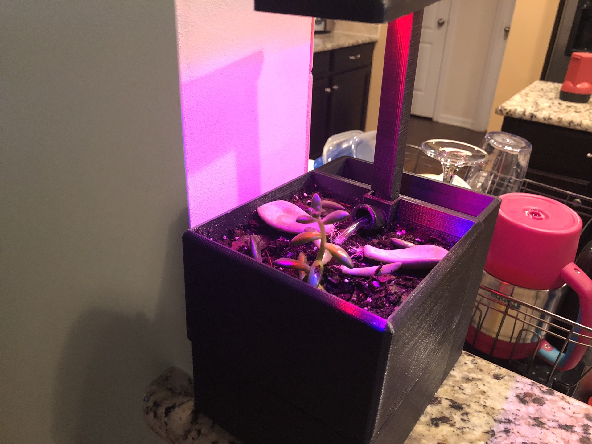 Assembled pot on the kitchen counter with the integrated grow light running.